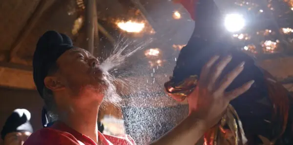 长安的荔枝第8集剧照