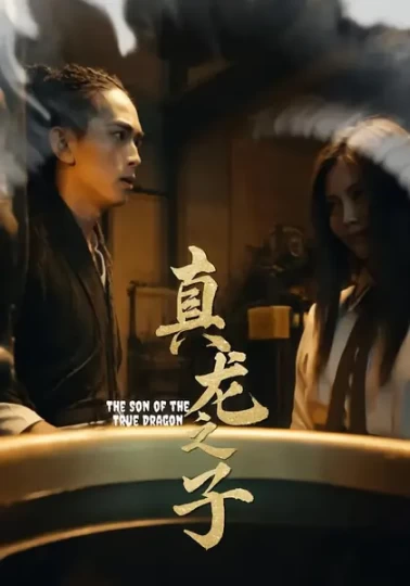 凤凰台上剧情简介封面图